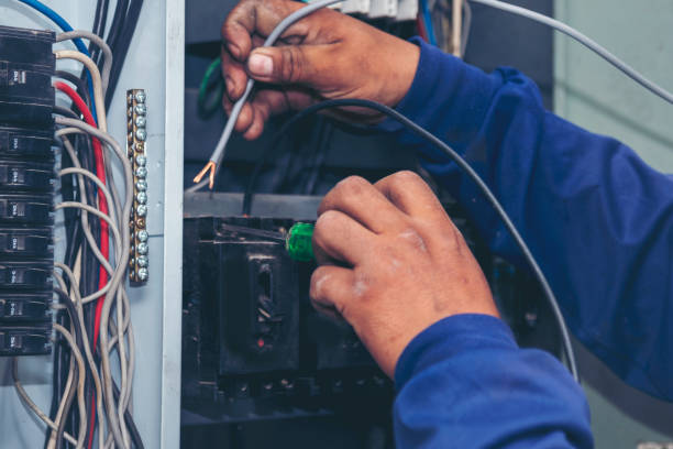 Best Electrical Repair Services  in Conesus Lake, NY